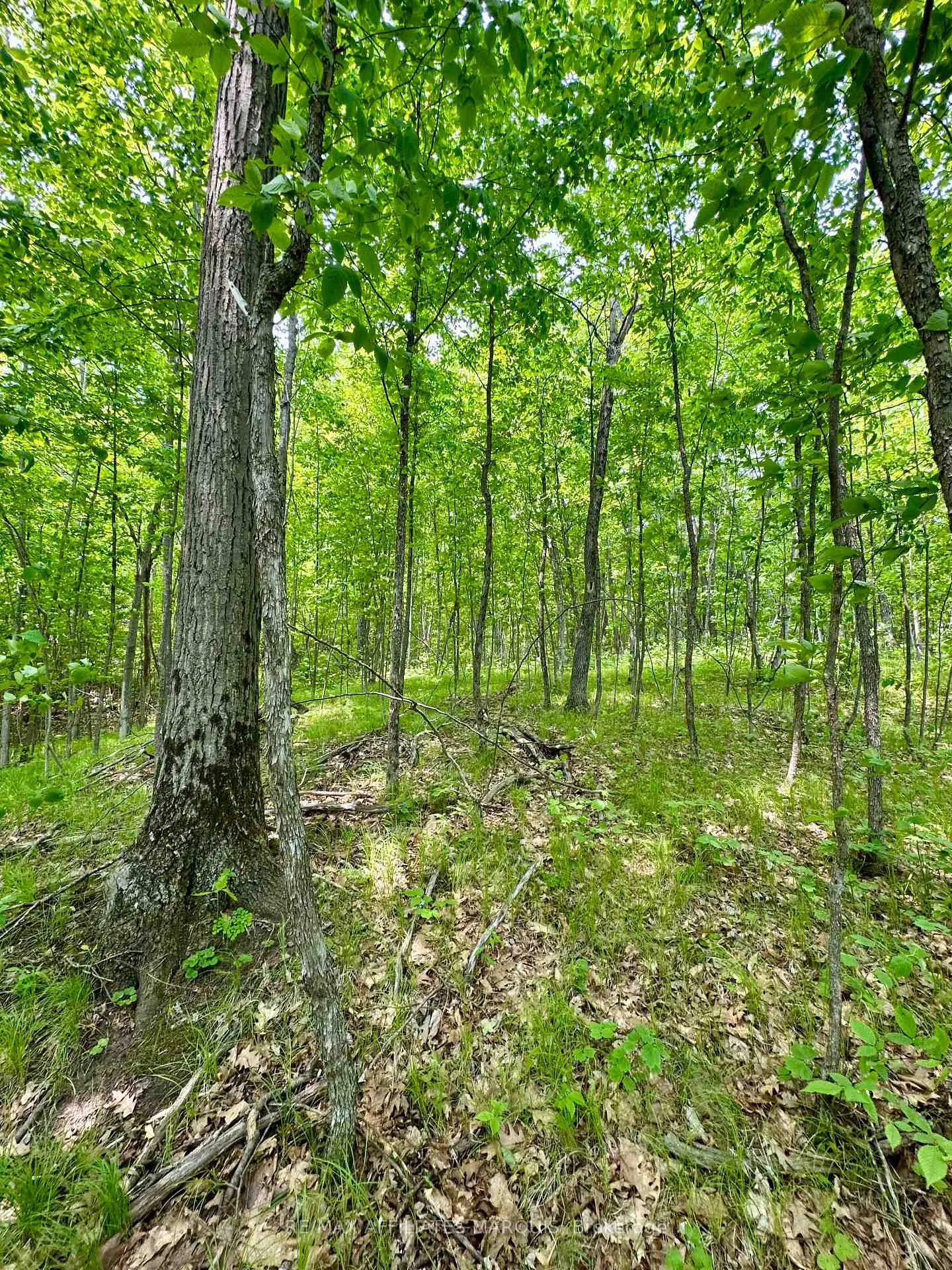 Photo 10 of 00 Crow Lake Road, Frontenac, Frontenac Centre — HOMEH