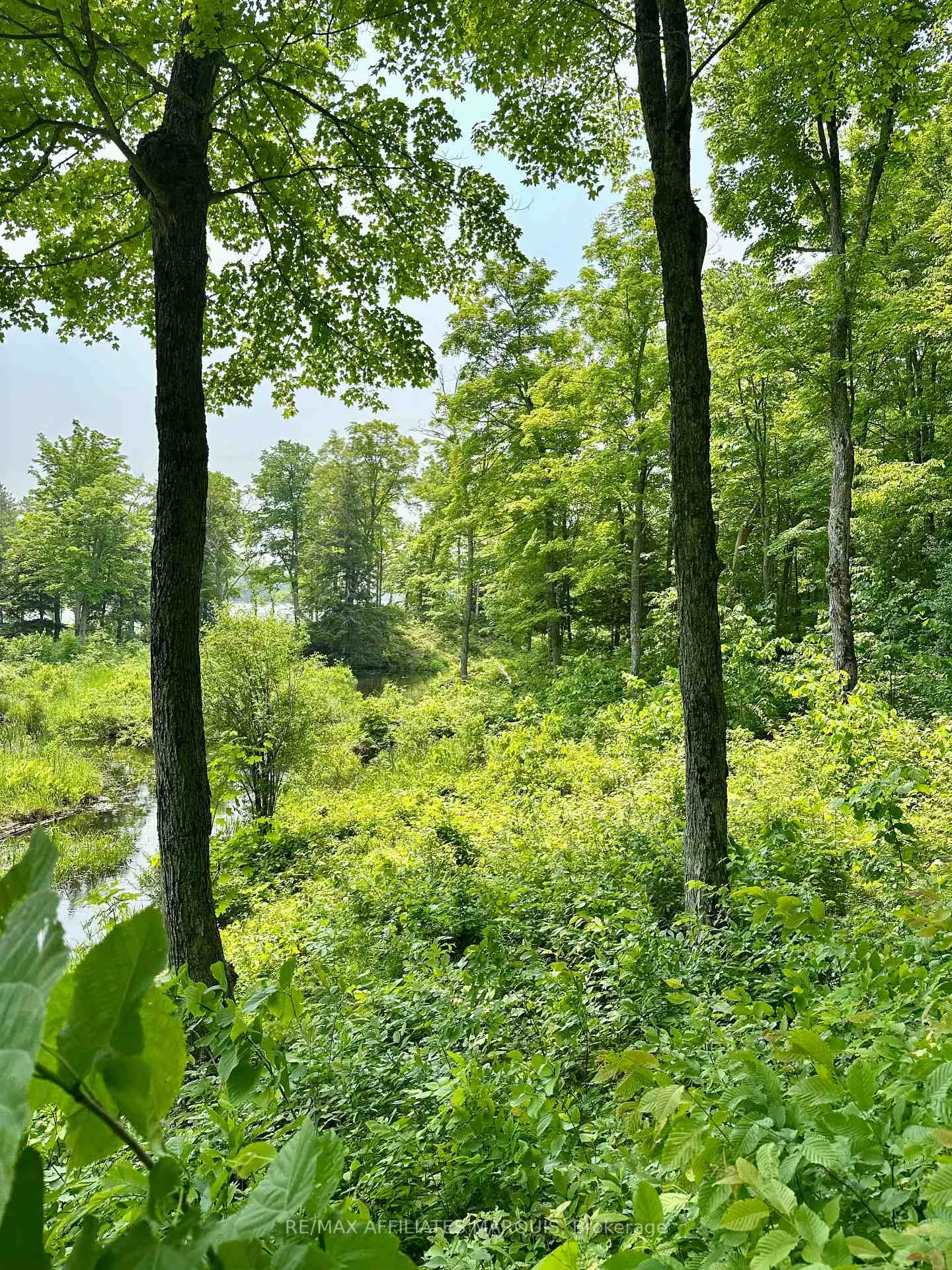 Photo 11 of 00 Crow Lake Road, Frontenac, Frontenac Centre — HOMEH