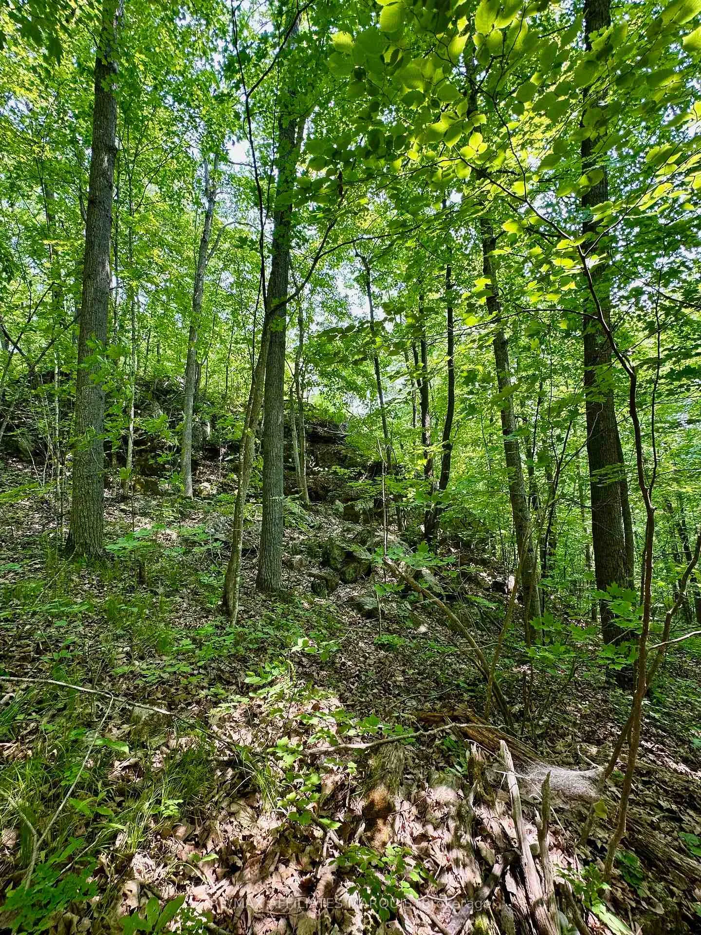 Photo 13 of 00 Crow Lake Road, Frontenac, Frontenac Centre — HOMEH