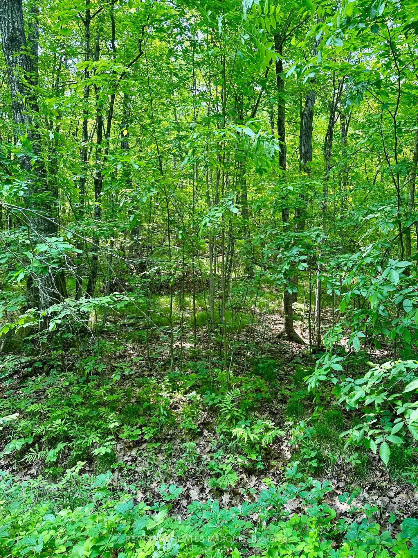 Photo 15 of 00 Crow Lake Road, Frontenac, Frontenac Centre — HOMEH