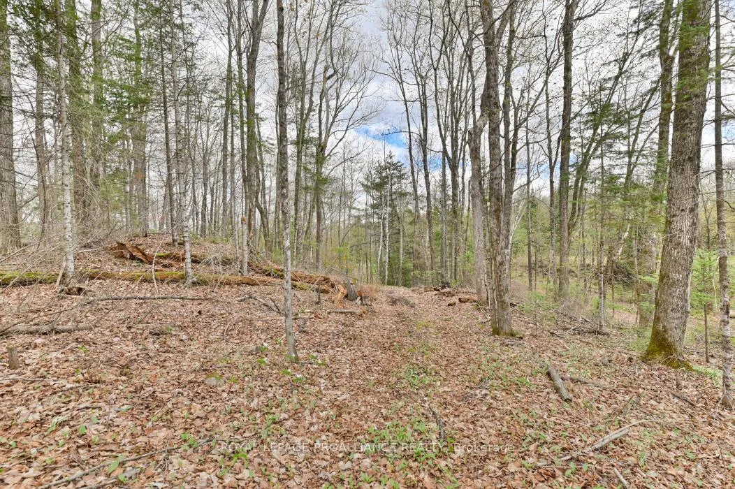 Photo 15 of 2060 Smith Road, North Frontenac, Frontenac North — HOMEH