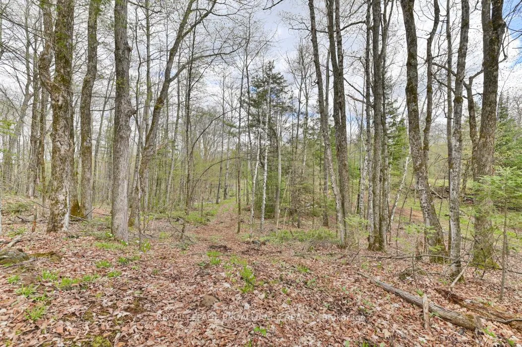 Photo 17 of 2060 Smith Road, North Frontenac, Frontenac North — HOMEH
