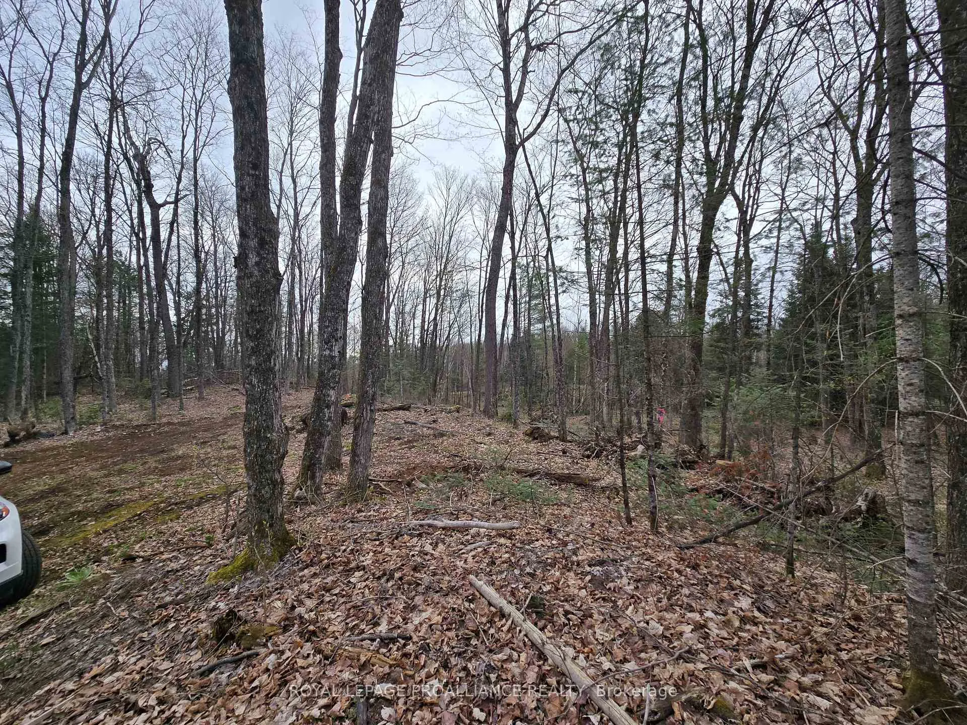 Photo 19 of 2060 Smith Road, North Frontenac, Frontenac North — HOMEH