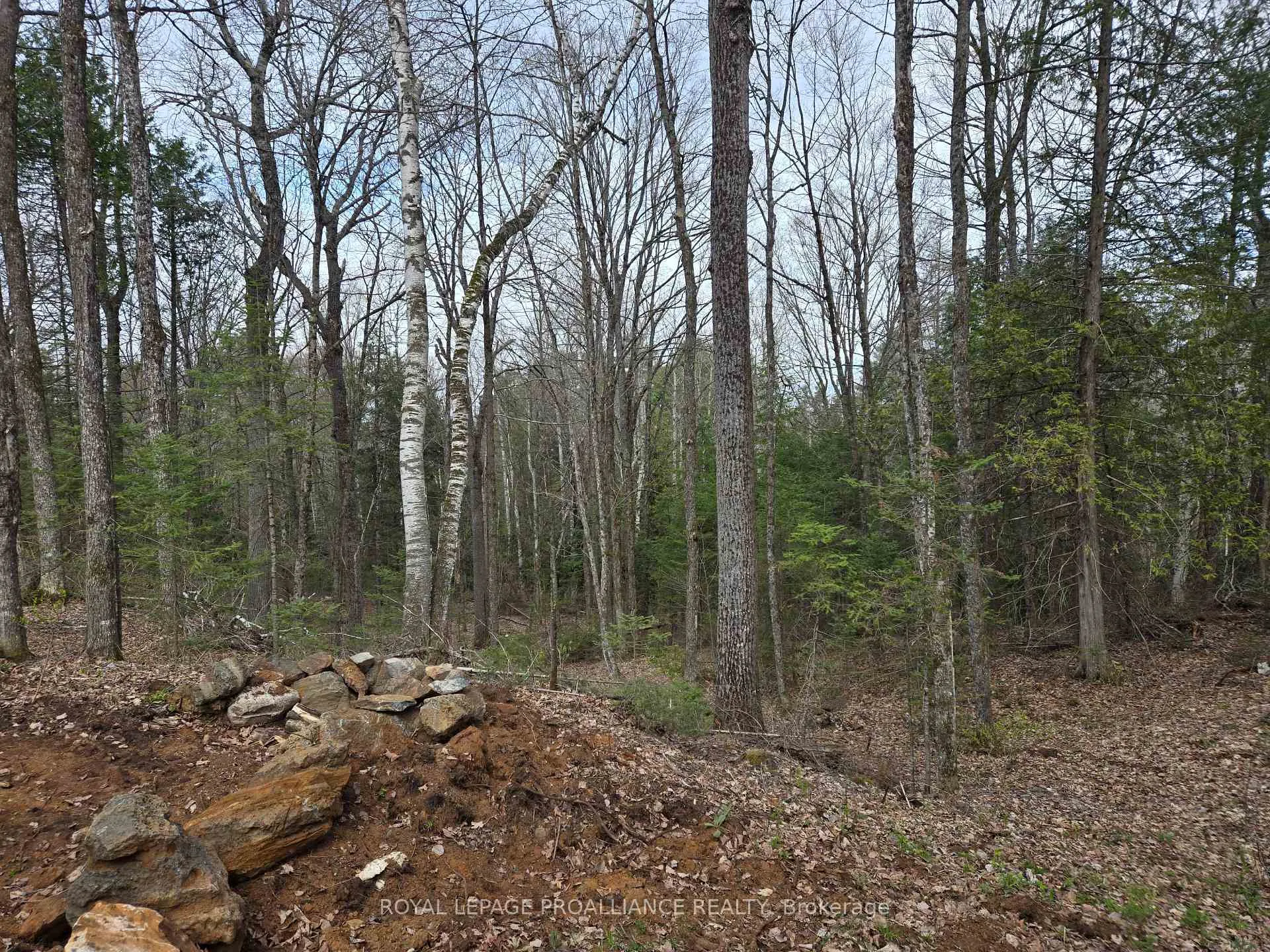 Photo 20 of 2060 Smith Road, North Frontenac, Frontenac North — HOMEH