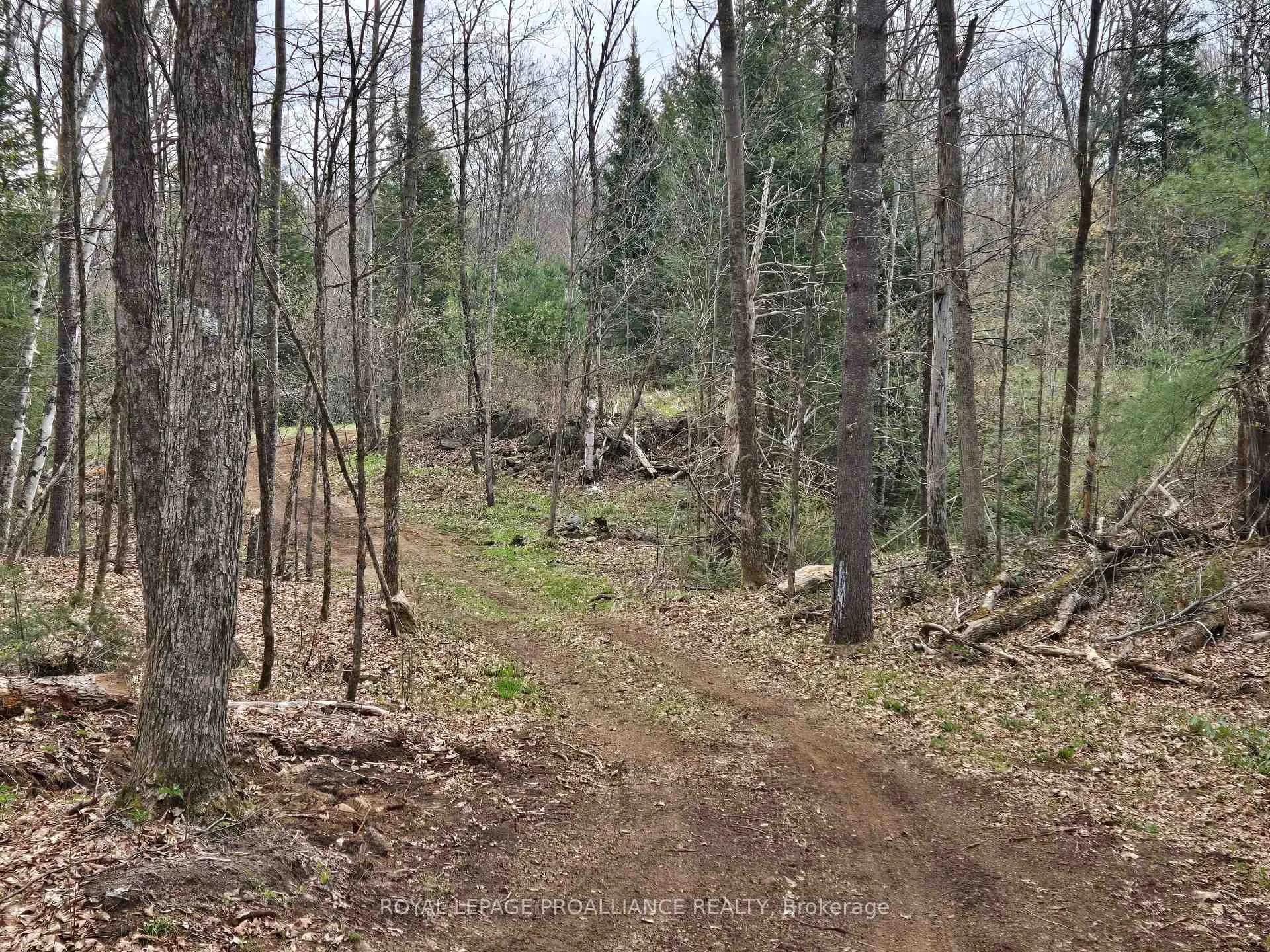 Photo 21 of 2060 Smith Road, North Frontenac, Frontenac North — HOMEH