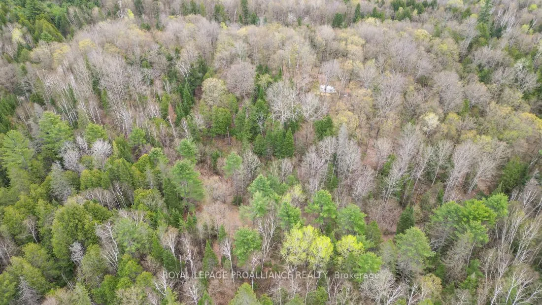 Photo 32 of 2060 Smith Road, North Frontenac, Frontenac North — HOMEH