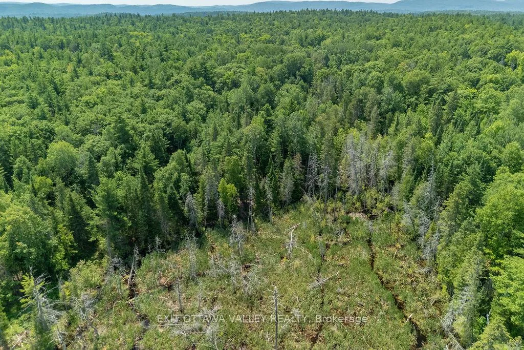 Photo 17 of McGrath Road, Bonnechere Valley, Eganville/Bonnechere Twp — HOMEH