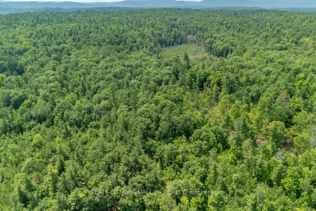 Photo 18 of McGrath Road, Bonnechere Valley, Eganville/Bonnechere Twp — HOMEH