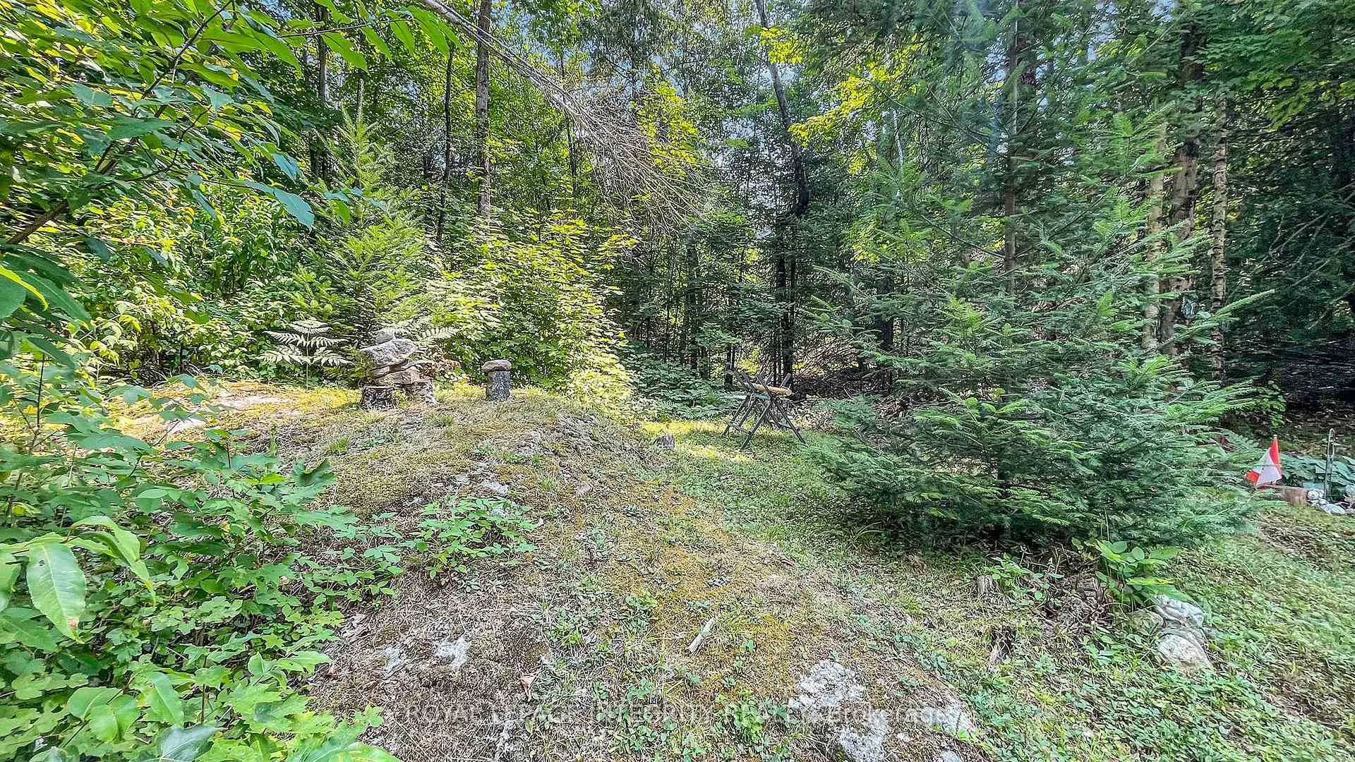 Photo 15 of 356 Bow Lake Lane, Lanark Highlands, Lanark Highlands (Lanark) Twp — HOMEH