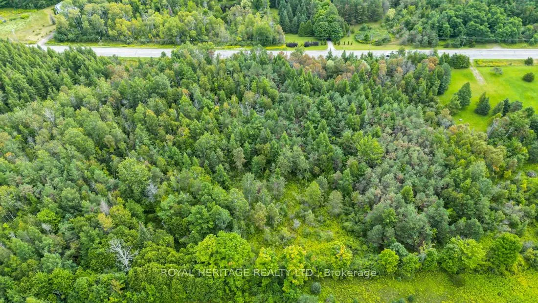 Photo 5 of County Road 25, Cramahe, Rural Cramahe — HOMEH