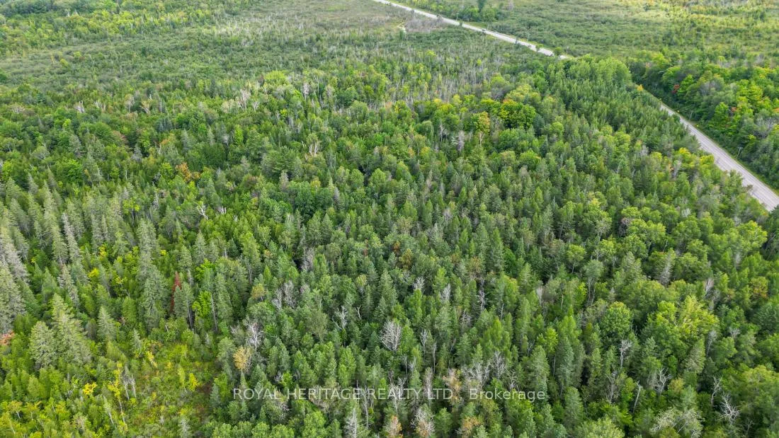 Photo 10 of County Road 25, Cramahe, Rural Cramahe — HOMEH