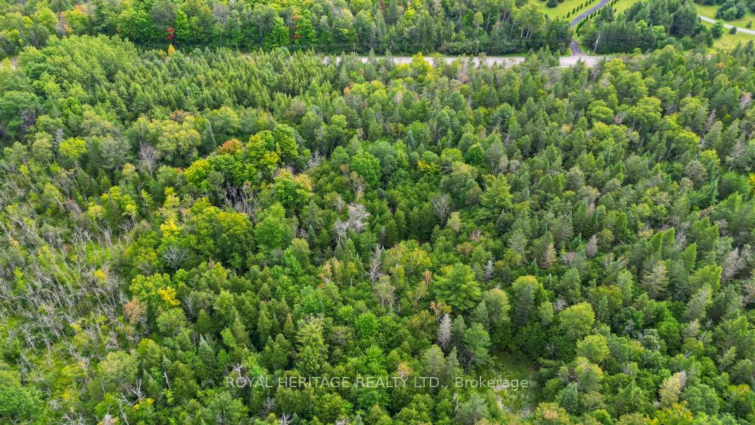 Photo 13 of County Road 25, Cramahe, Rural Cramahe — HOMEH