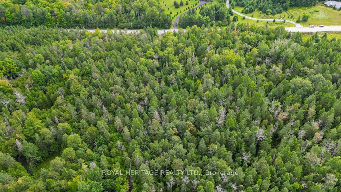 Photo 14 of County Road 25, Cramahe, Rural Cramahe — HOMEH