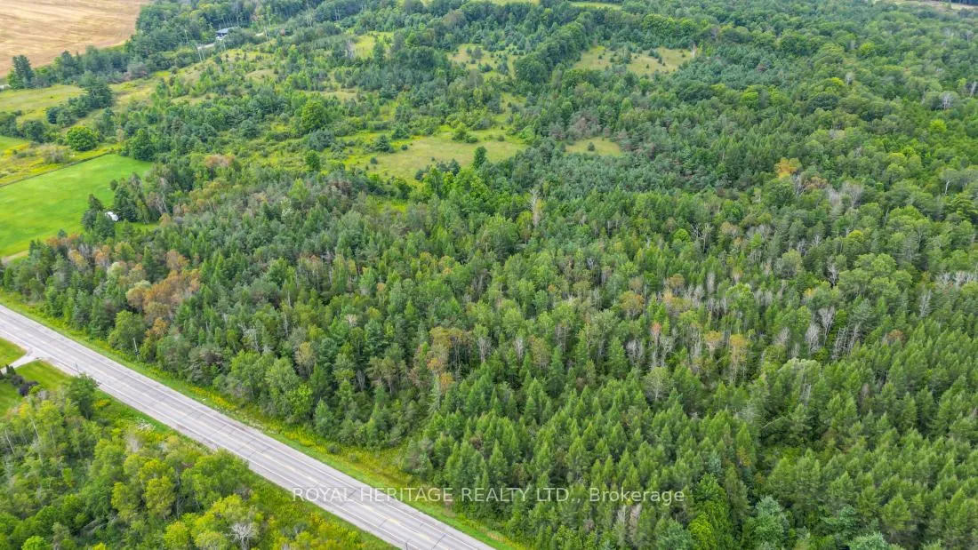 Photo 18 of County Road 25, Cramahe, Rural Cramahe — HOMEH