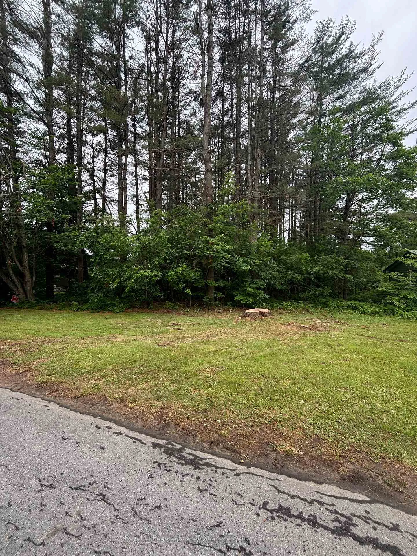 Photo 1 of 124 Frederick Street, Bracebridge, Draper — HOMEH