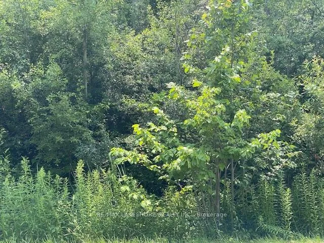 Front of B1 Pipeline Road