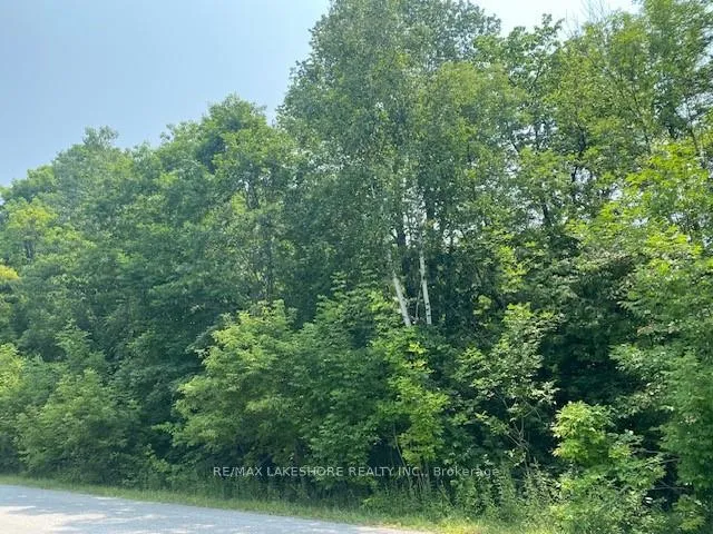 Front of A3 Pipeline Road