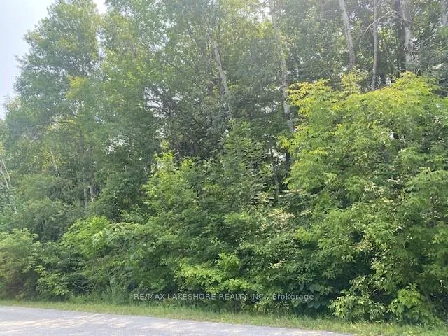 Front of A2 Pipeline Road