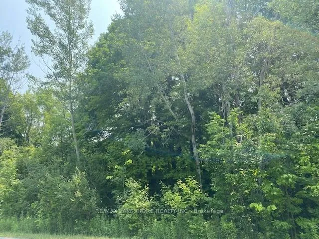 Front of A1 Pipeline Road