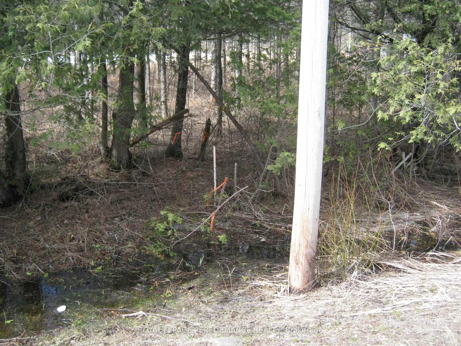 Photo 5 of 00 Dornie Road N, North Glengarry, North Glengarry (Kenyon) Twp — HOMEH