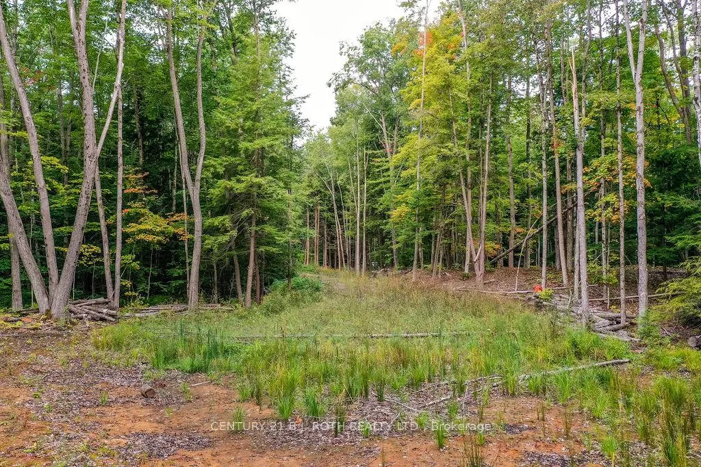 Photo 2 of 1019 Davis Drive, Gravenhurst, Morrison — HOMEH