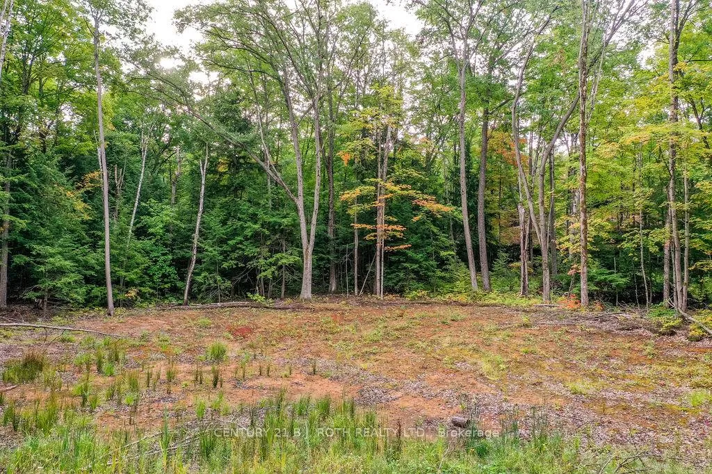 Photo 3 of 1019 Davis Drive, Gravenhurst, Morrison — HOMEH
