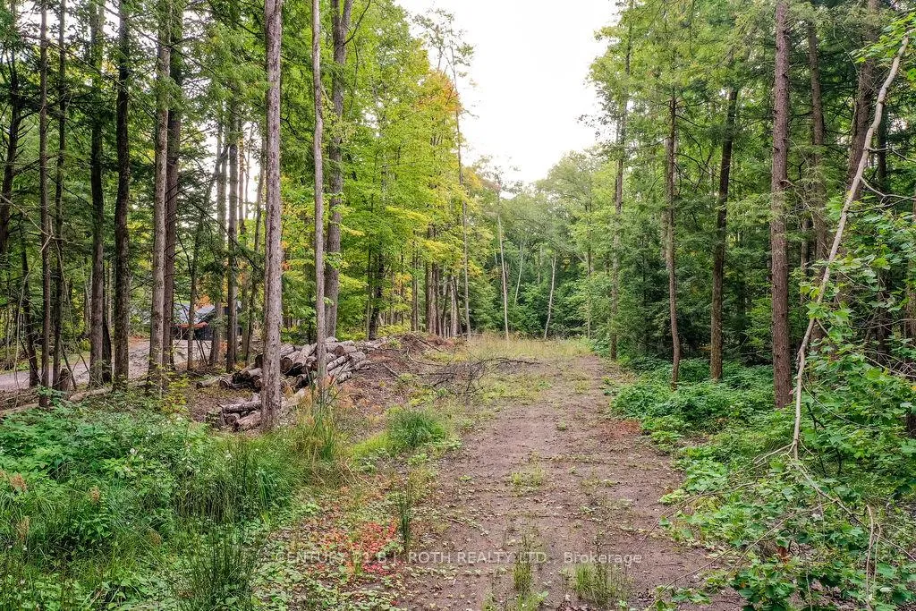 Photo 7 of 1019 Davis Drive, Gravenhurst, Morrison — HOMEH