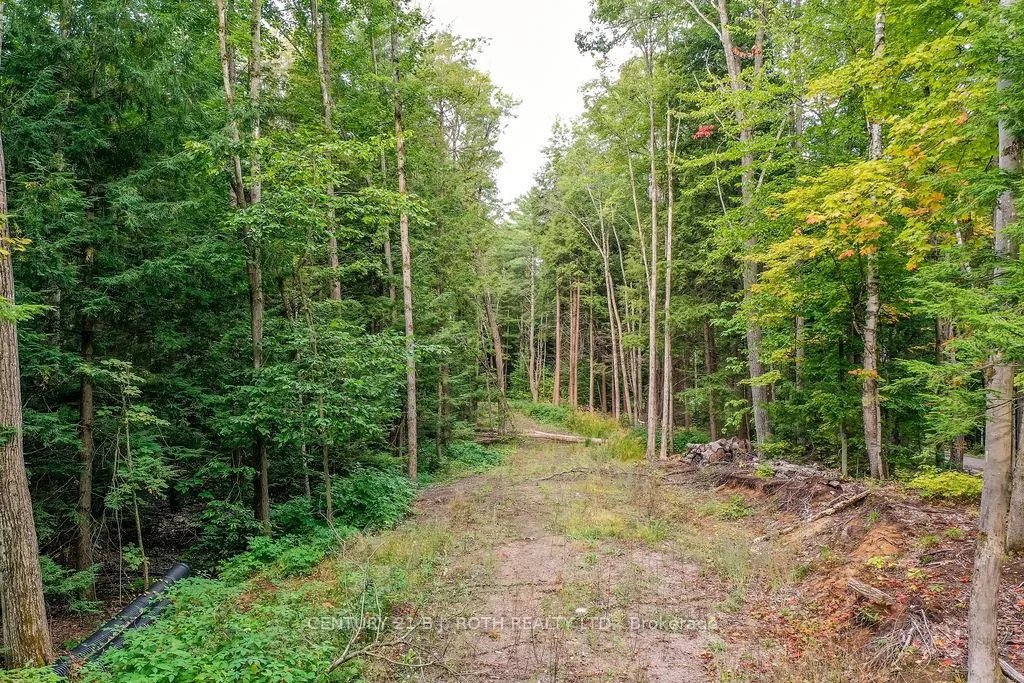 Photo 9 of 1019 Davis Drive, Gravenhurst, Morrison — HOMEH