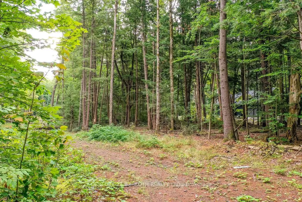 Photo 10 of 1019 Davis Drive, Gravenhurst, Morrison — HOMEH