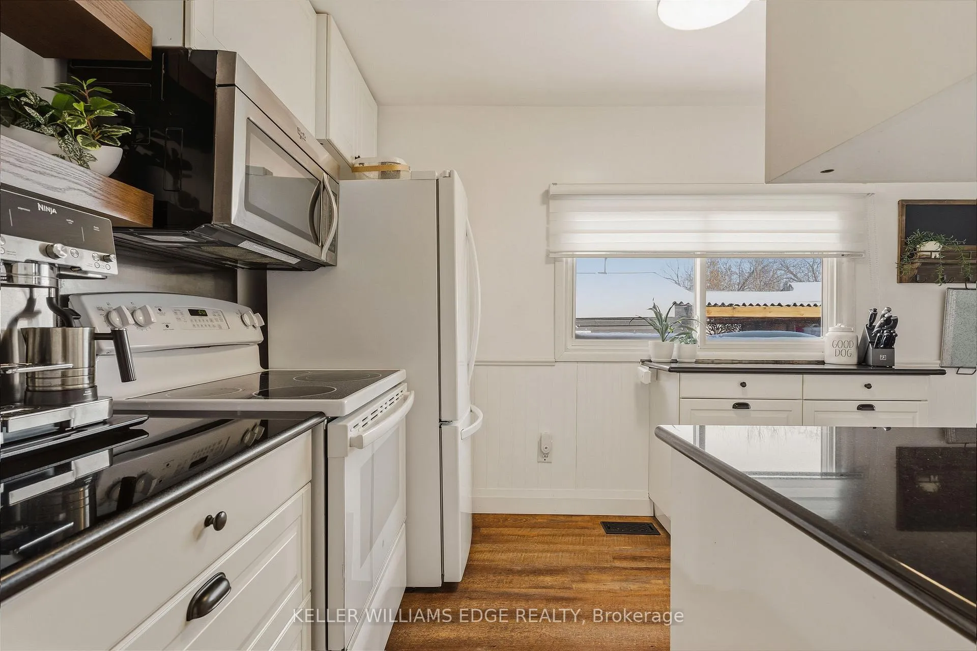 Photo 10 of 56 Tolton Avenue, Hamilton, Normanhurst — HOMEH