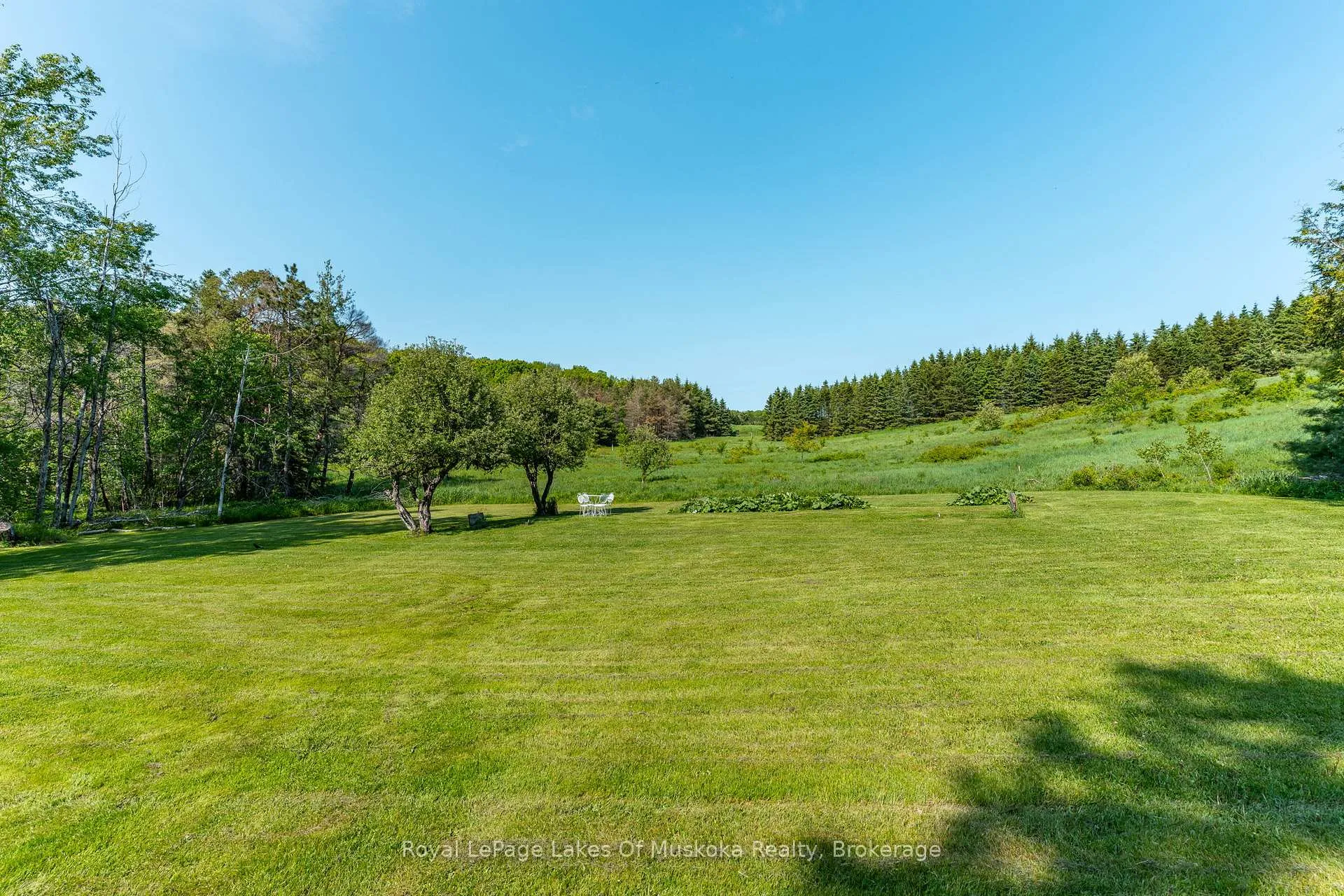 Photo 42 of 229 Fraserburg Road, Bracebridge, Macaulay — HOMEH