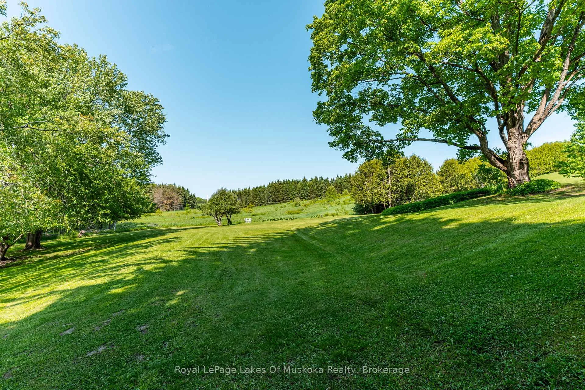 Photo 43 of 229 Fraserburg Road, Bracebridge, Macaulay — HOMEH