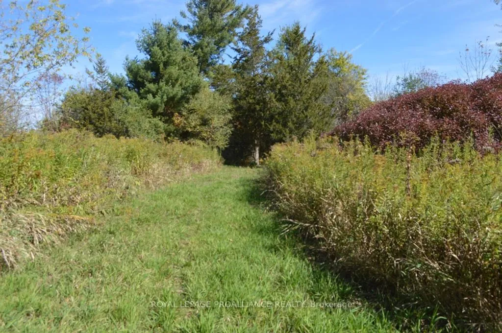 Photo of 00 Scriver Road