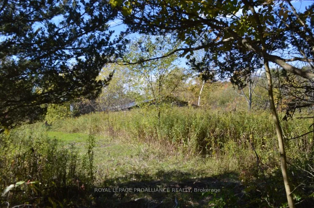 Photo 4 of 00 Scriver Road, Brighton, Rural Brighton — HOMEH