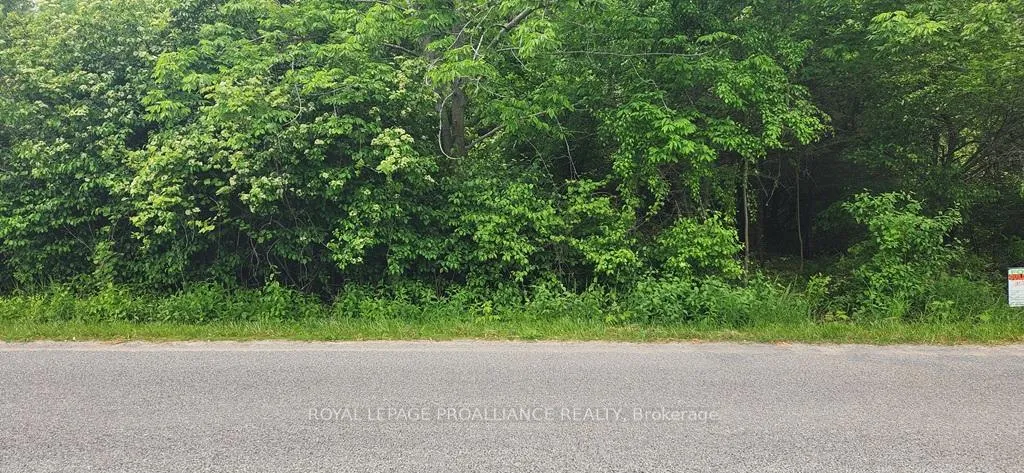 Photo 5 of 00 Scriver Road, Brighton, Rural Brighton — HOMEH