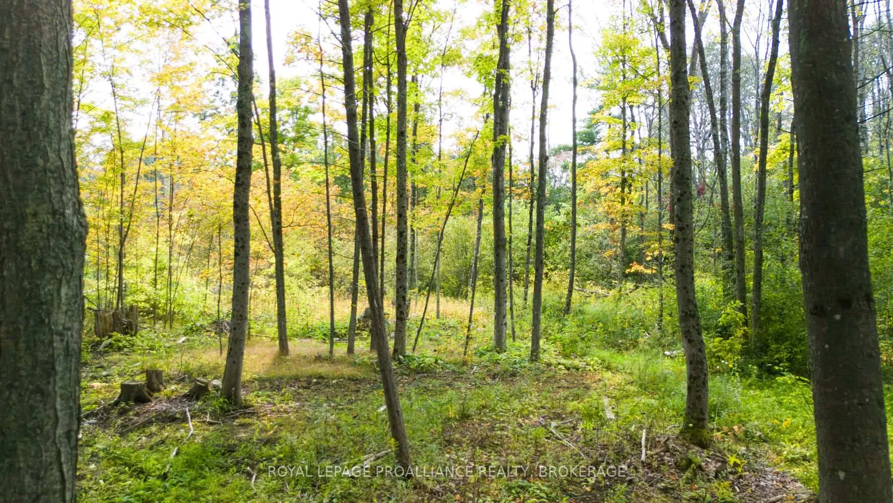 Photo 2 of 3590 Alton Road W, Frontenac, Frontenac South — HOMEH