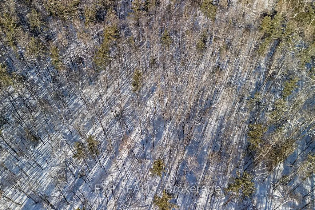 Photo 38 of 00 Mine View Road, Whitewater Region, Whitewater Region — HOMEH