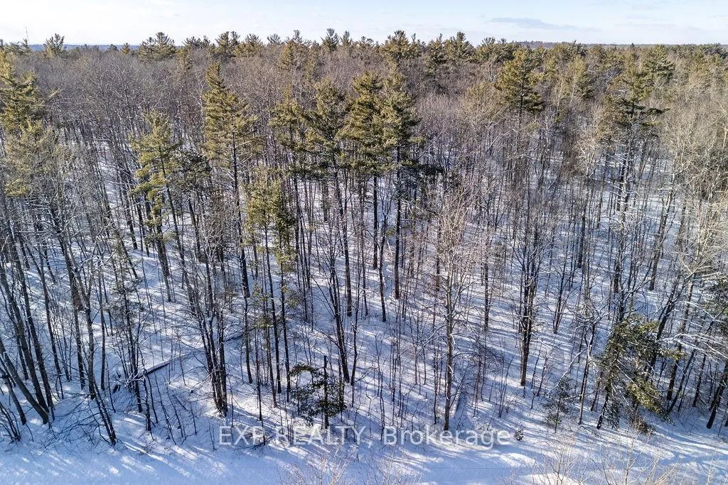 Photo 44 of 00 Mine View Road, Whitewater Region, Whitewater Region — HOMEH
