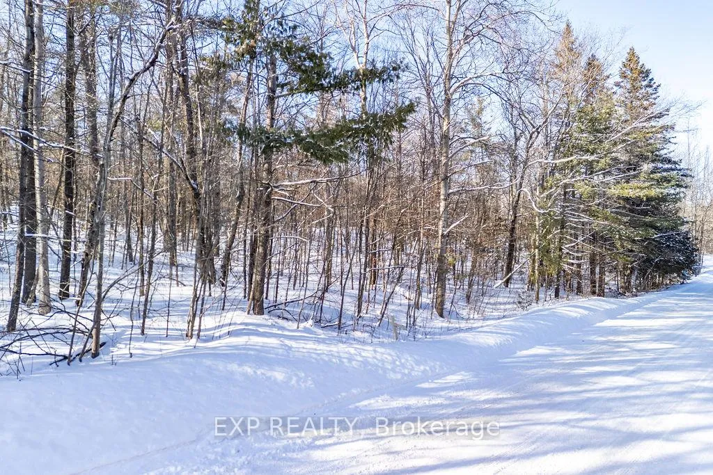 Photo 49 of 00 Mine View Road, Whitewater Region, Whitewater Region — HOMEH