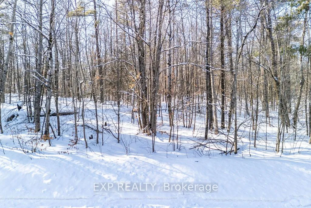 Photo 50 of 00 Mine View Road, Whitewater Region, Whitewater Region — HOMEH