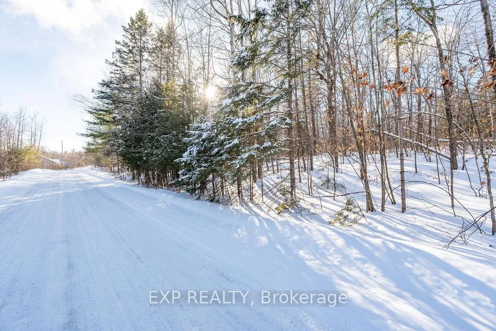 Photo 51 of 00 Mine View Road, Whitewater Region, Whitewater Region — HOMEH