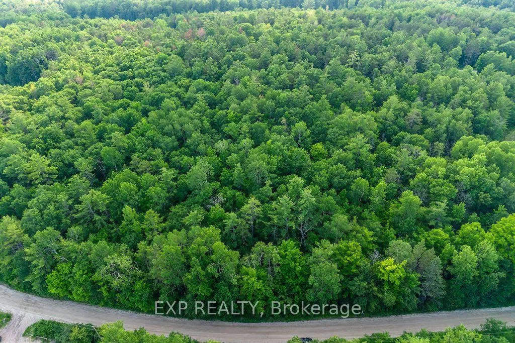 Photo 4 of 00 Mine View Road, Whitewater Region, Whitewater Region — HOMEH