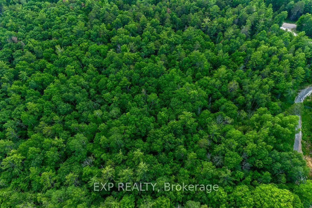 Photo 20 of 00 Mine View Road, Whitewater Region, Whitewater Region — HOMEH