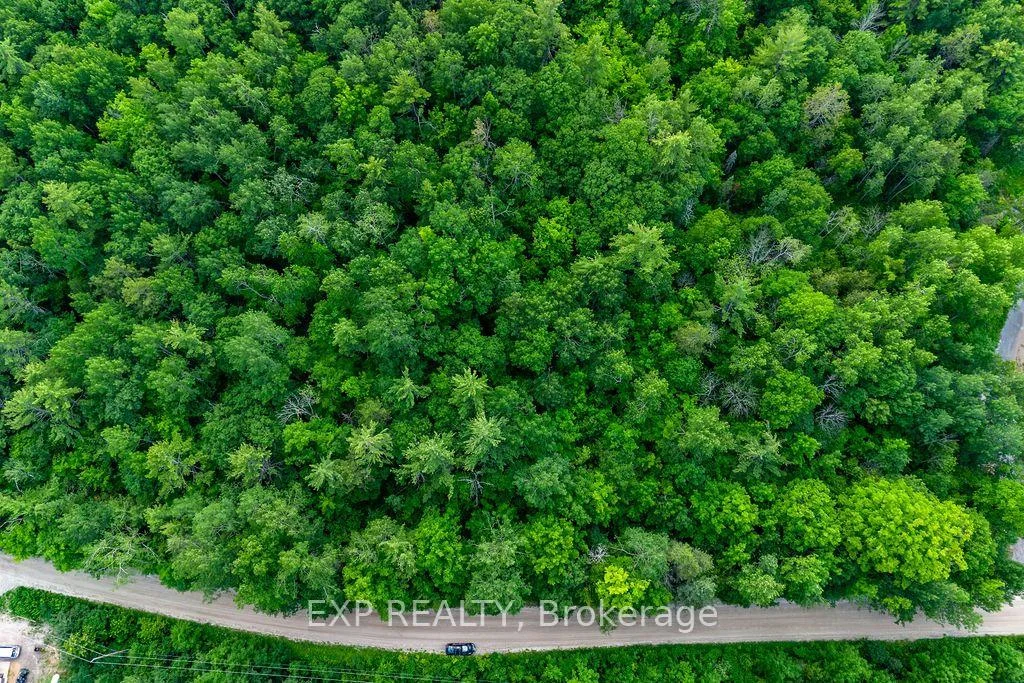 Photo 21 of 00 Mine View Road, Whitewater Region, Whitewater Region — HOMEH