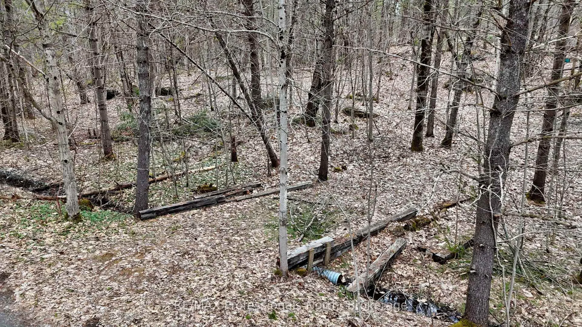 Photo 3 of Green Place Road, Gravenhurst, Wood (Gravenhurst) — HOMEH