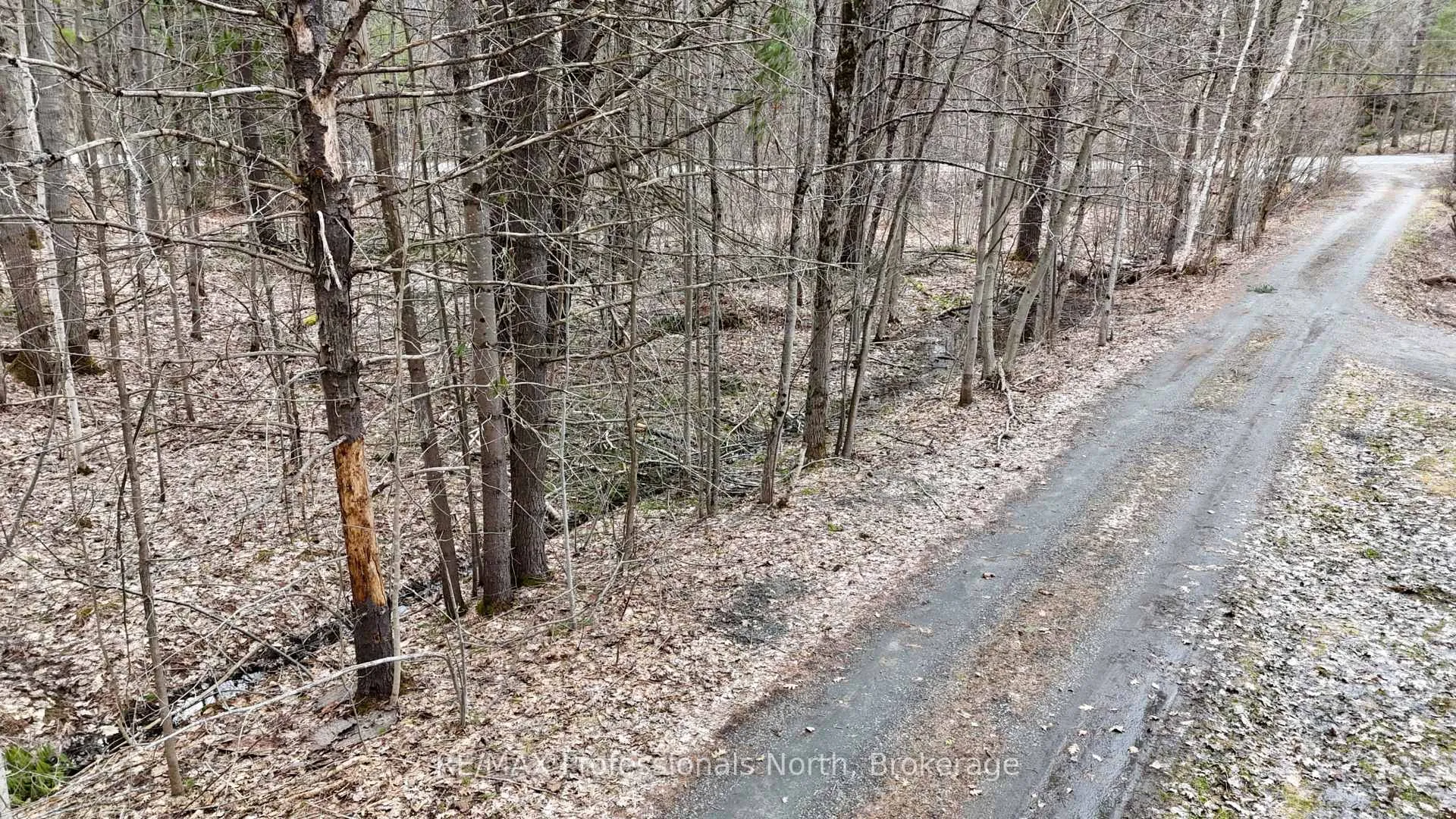 Photo 6 of Green Place Road, Gravenhurst, Wood (Gravenhurst) — HOMEH