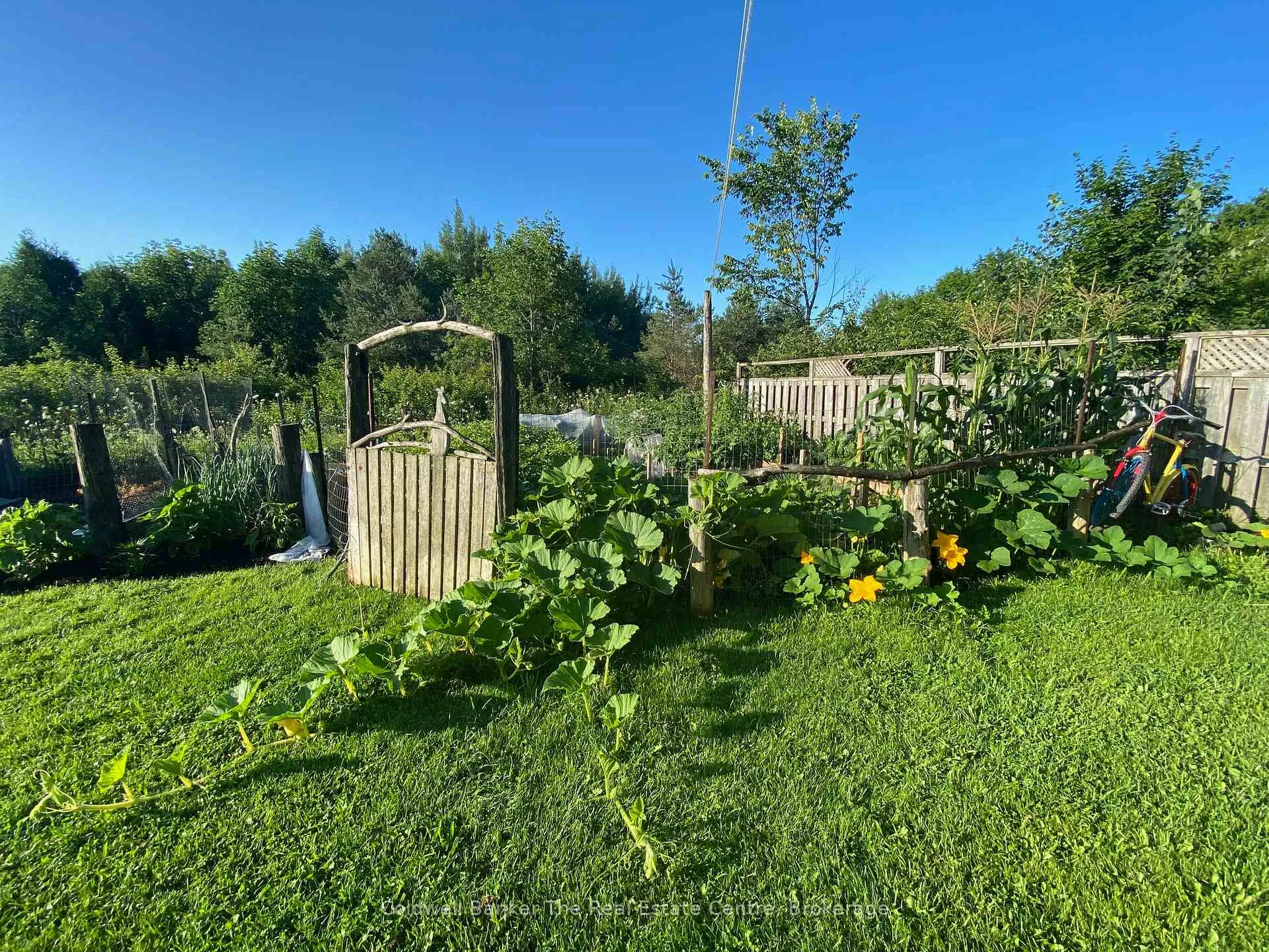Photo 58 of 1229 County Road 124, Clearview, Rural Clearview — HOMEH