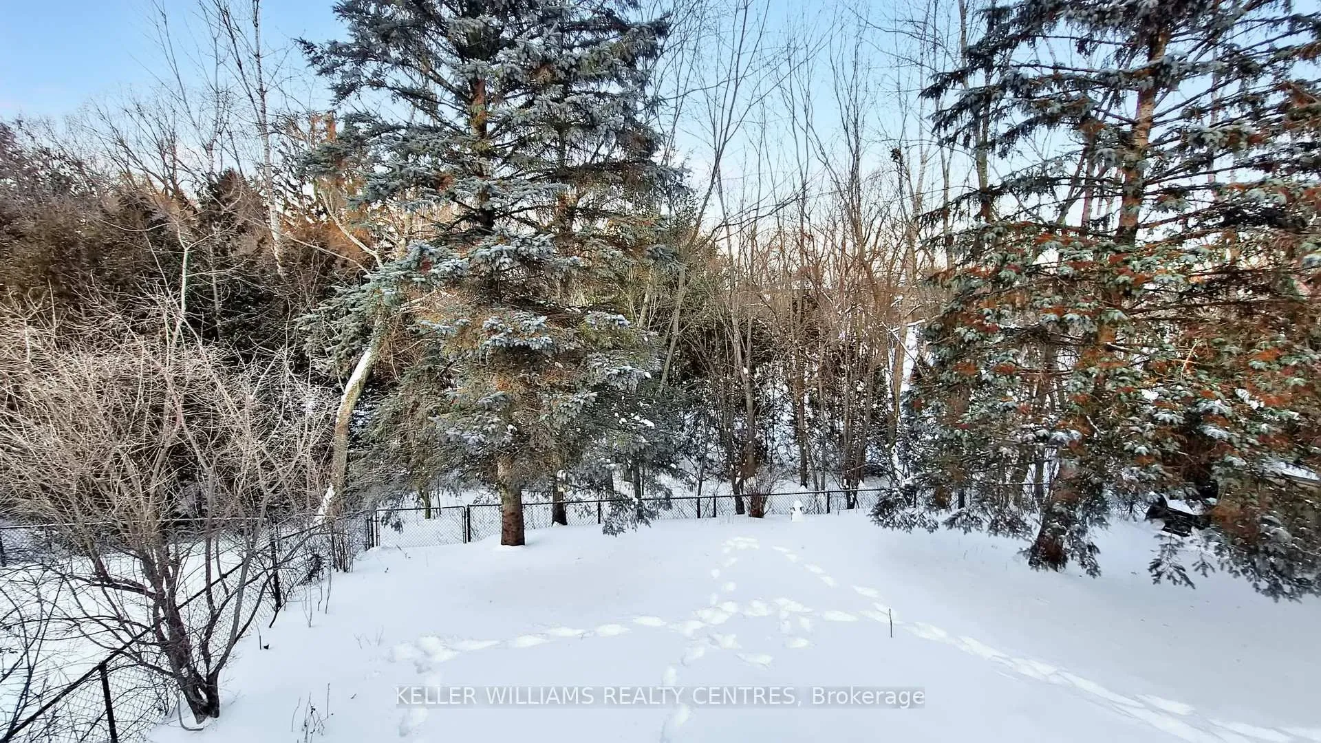 Photo 36 of 100 Timpson Drive, Aurora, Aurora Highlands — HOMEH