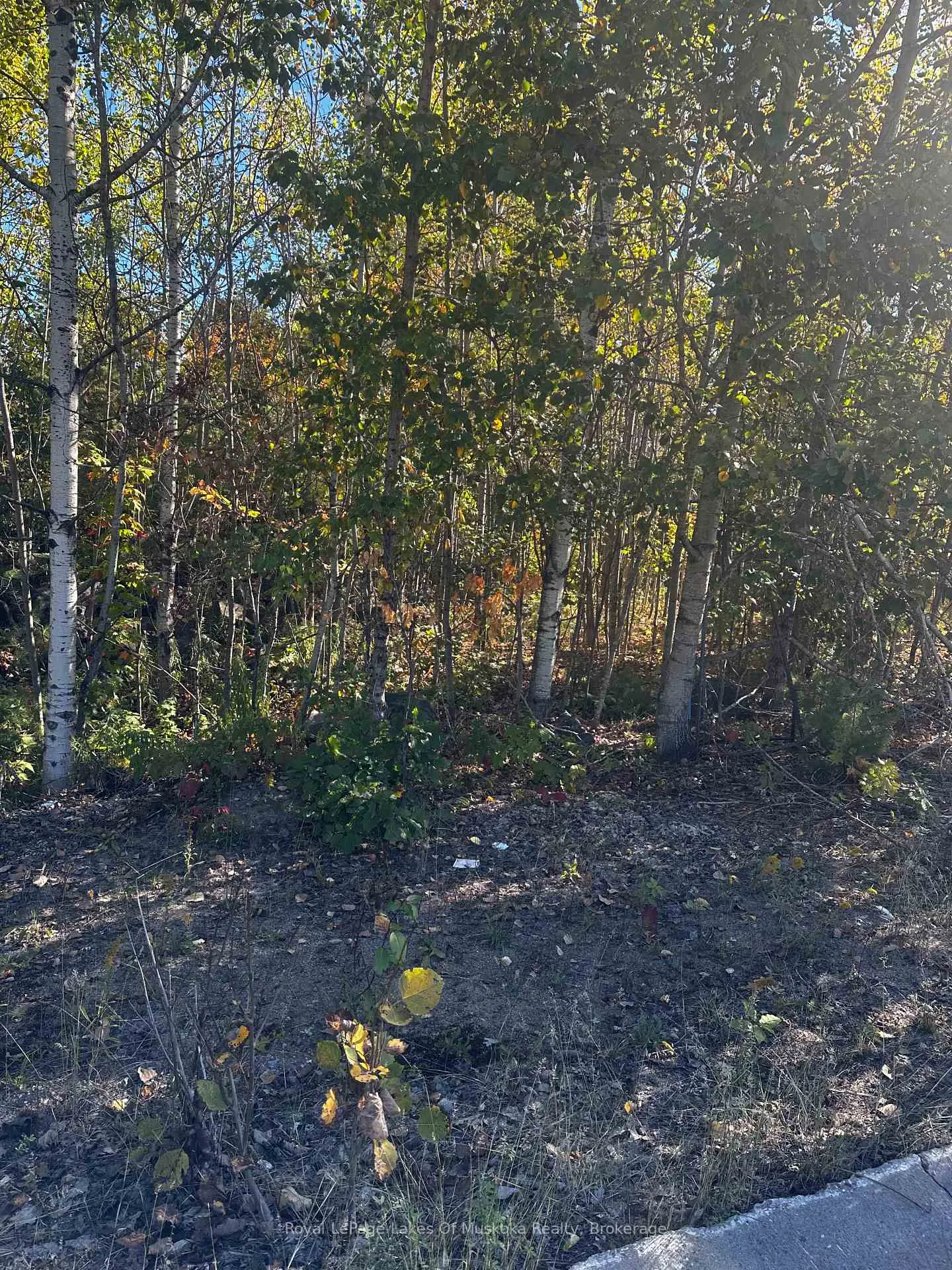 Photo 1 of 23 Freeland Drive, Gravenhurst, Muskoka (S) — HOMEH
