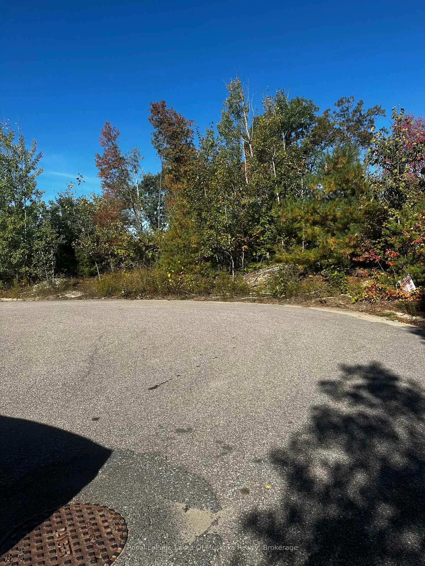 Photo 4 of 23 Freeland Drive, Gravenhurst, Muskoka (S) — HOMEH